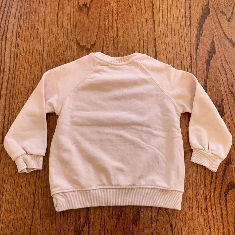 Zara & The New Class Dress Jumpers Swearshirt | Size 3-4